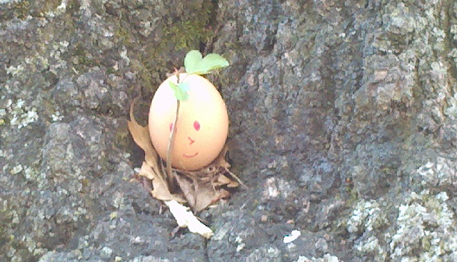 2012-04-02_17-39-54_351