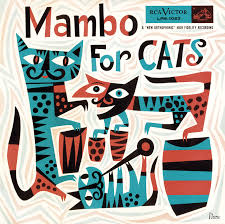 mambo for cats