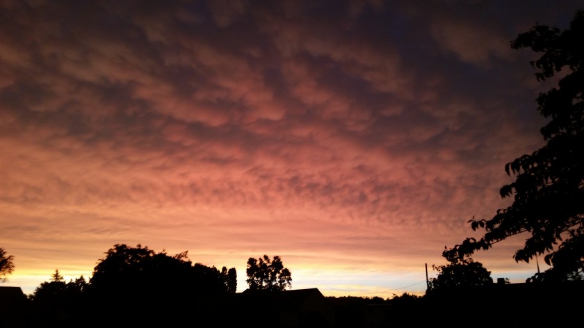 post-tornado-20150623_205054