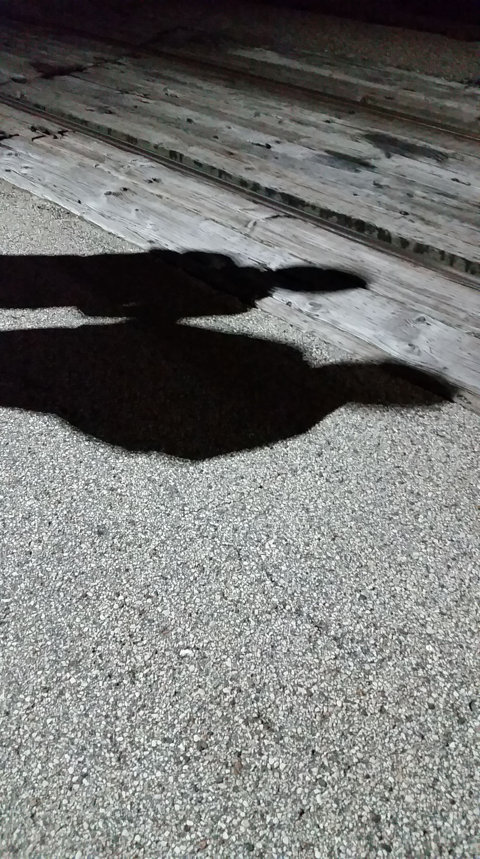 train attendants 599.jpeg