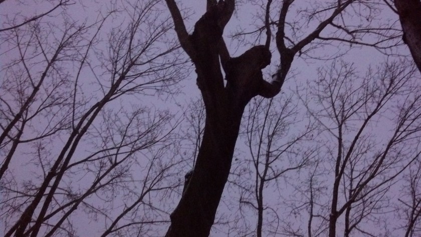 IMG_20131214_165359_032