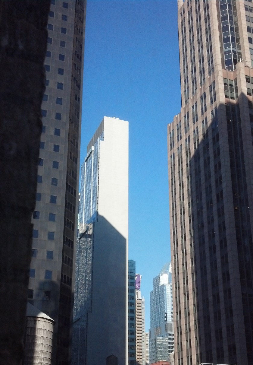 IMG_20140117_094906_148 crop