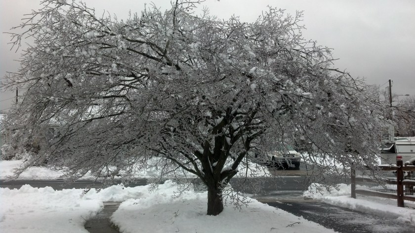 IMG_20140205_091324_510