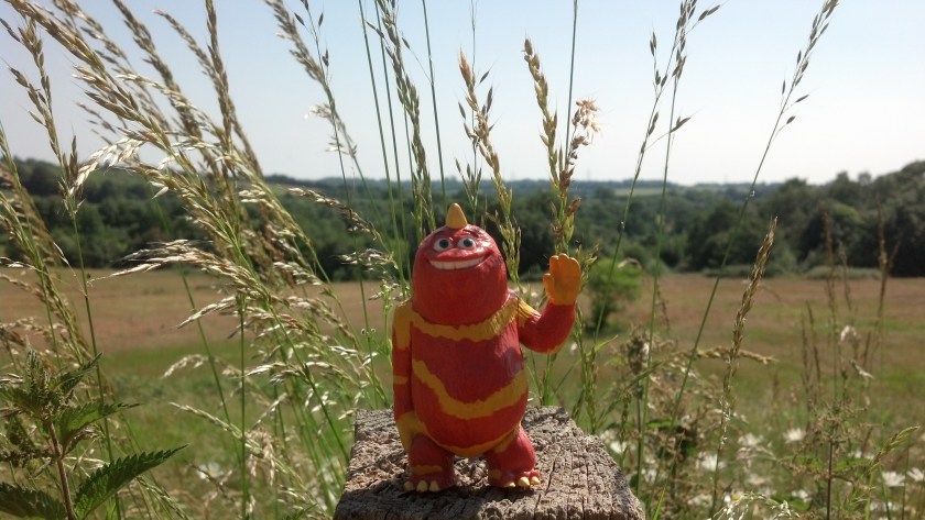 IMG_20140621_153129_377