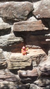 IMG_20140624_122005_863 rye