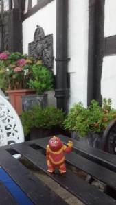 IMG_20140624_124255_530 rye