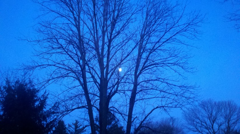 2012-02-05_17-43-39_438