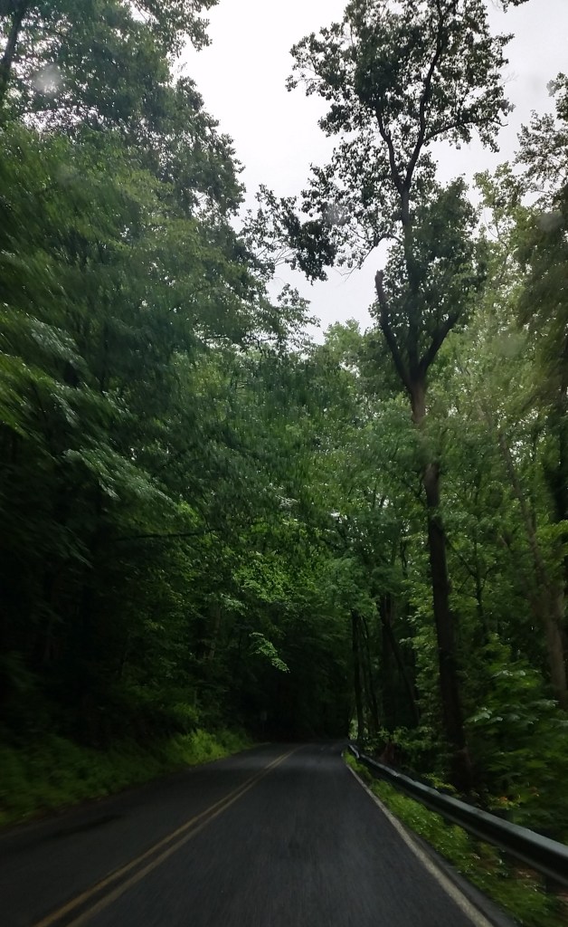 J20170706_A180703_Pollard