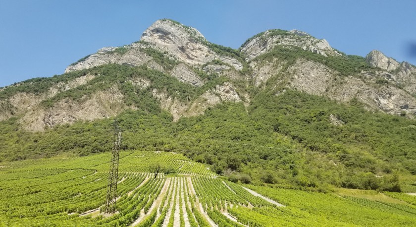 20180710_141417(0) Chignin